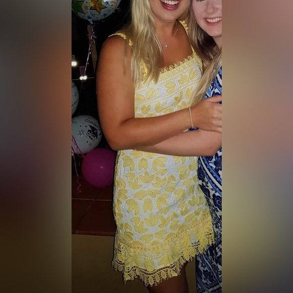 Size 10  - Forever New soft yellow embroidered summer dress - Picture 9 of 12